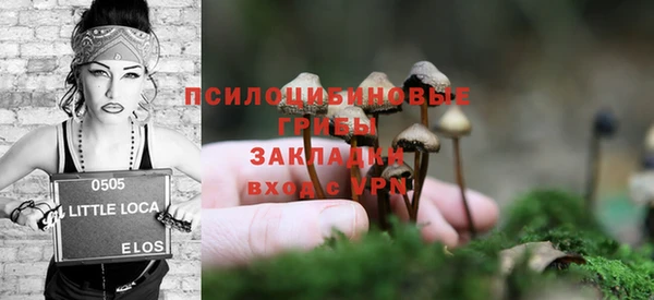 молекула духа Бугульма