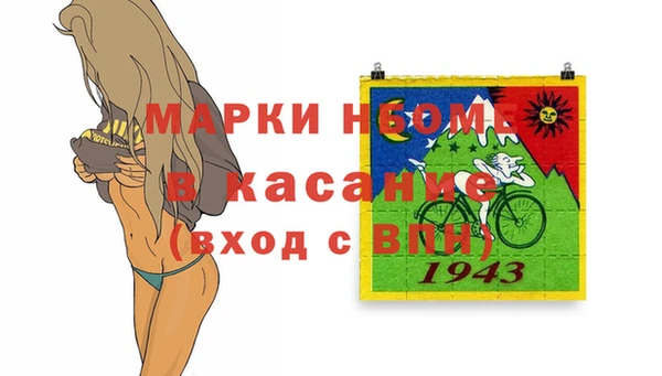 прущие грибы Богородицк