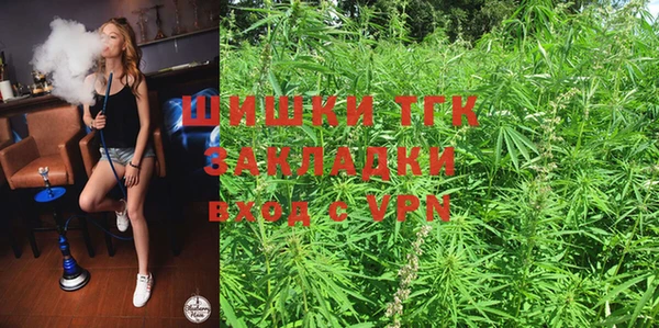 прущие грибы Богородицк