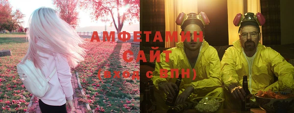 прущие грибы Богородицк