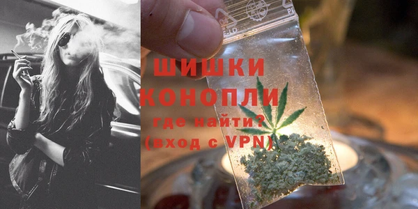 крисы Бронницы