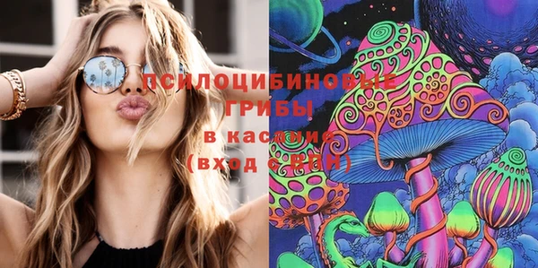 гашиш Богданович