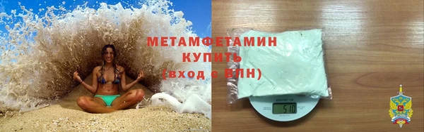 прущие грибы Богородицк