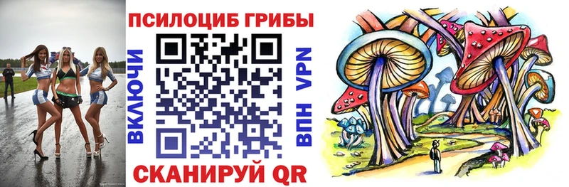 где найти наркотики  Гудермес  Галлюциногенные грибы мицелий 